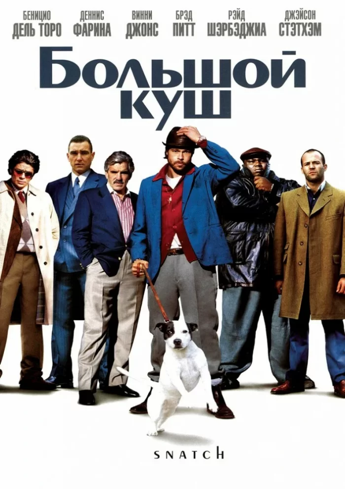 1xbet cash 1xbet bolshoy kush