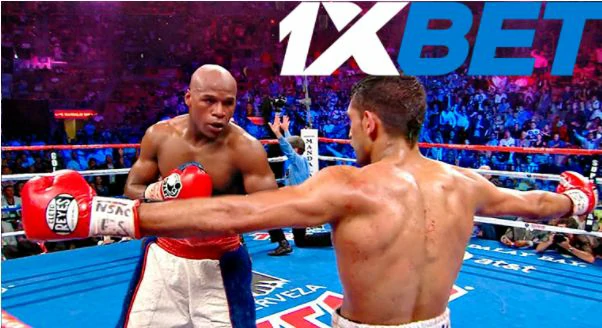 1xbet sport boks tikish